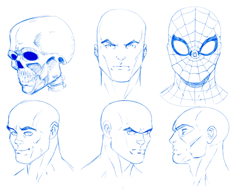 Six finished head drawings in blue pencil by Mike Van Orden, including a skull and Spider-Man